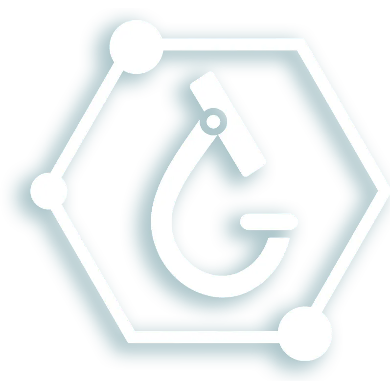 Logo Gabriela Vornicu