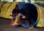 Lola racing out of tunnel