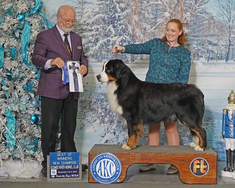 Moose Best of Winners Oconee River KC New Chamion