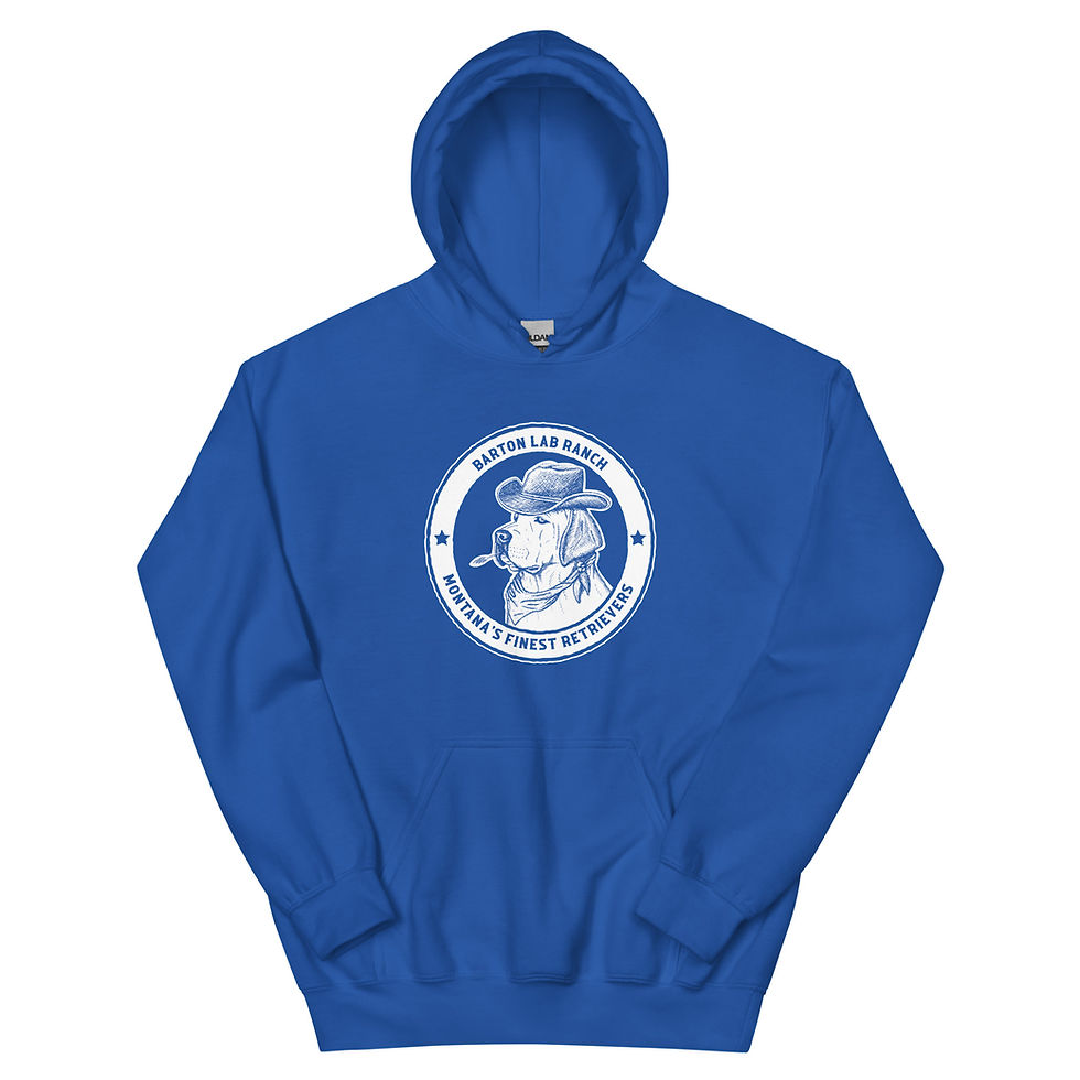 Thumbnail: Unisex Hoodie