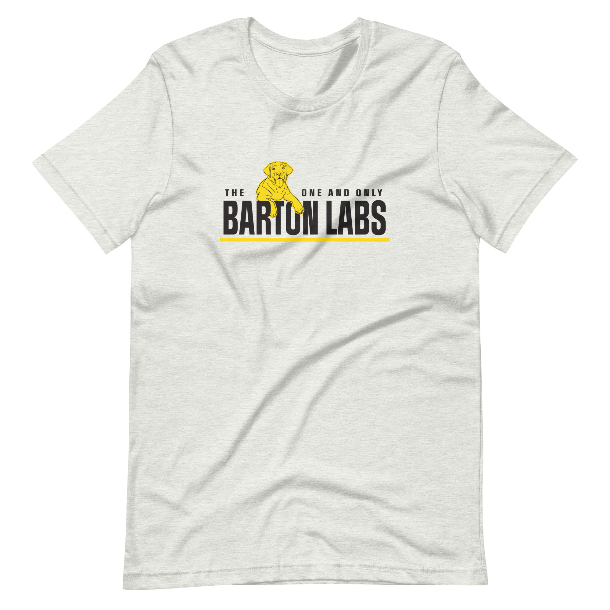 Hanging Labs Shirt - Ash