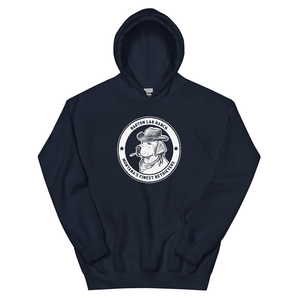 Thumbnail: Unisex Hoodie