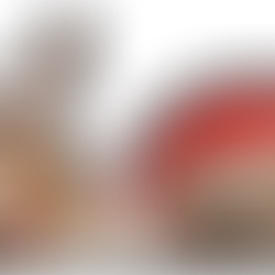 Creating a Pet-Friendly Holiday: Navigating the Festivities with Your Furry Friend