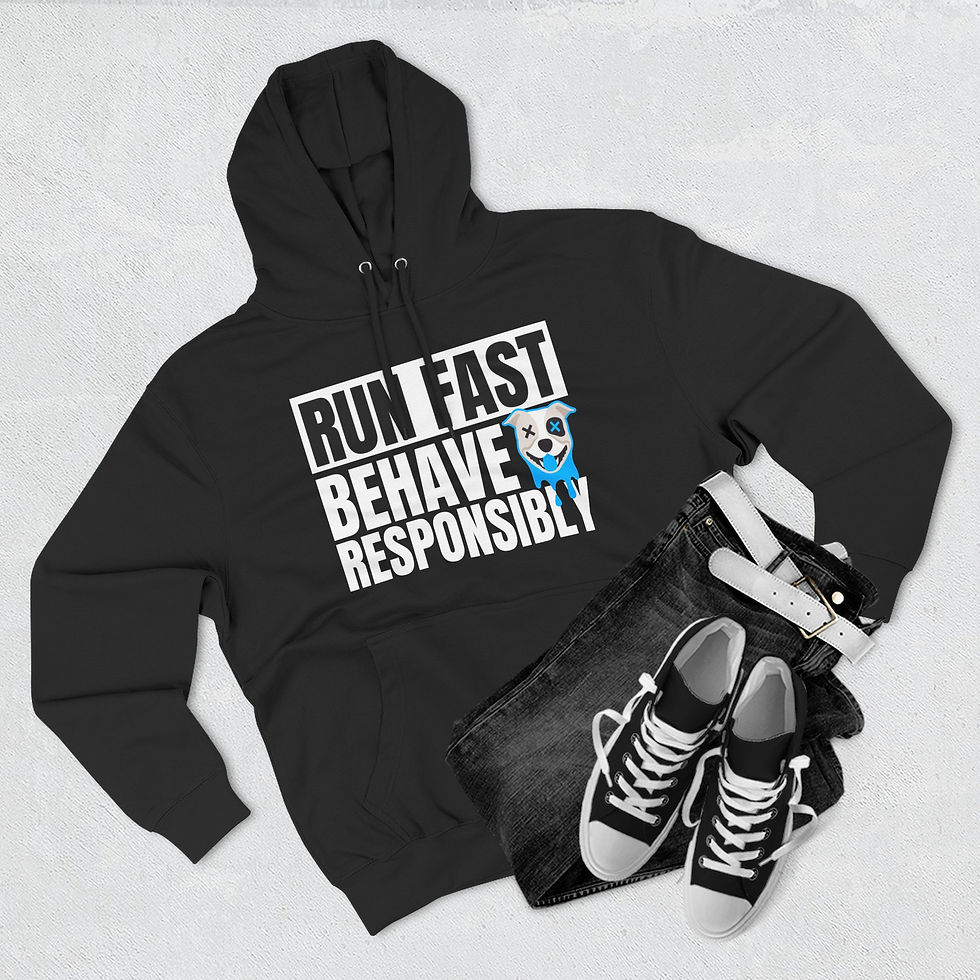 Thumbnail: Run Fast, Behave Responsibly Hoodie Bully Blue