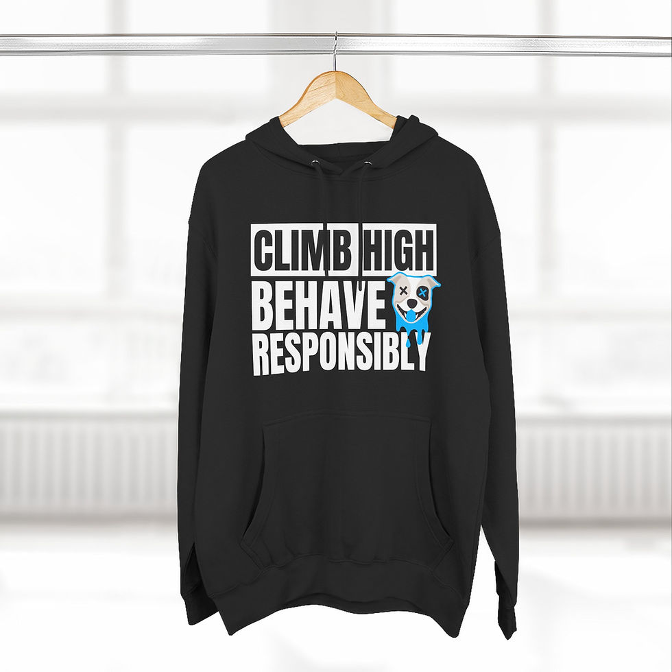 Thumbnail: Climb High, Behave Responsibly Hoodie Bully Blue