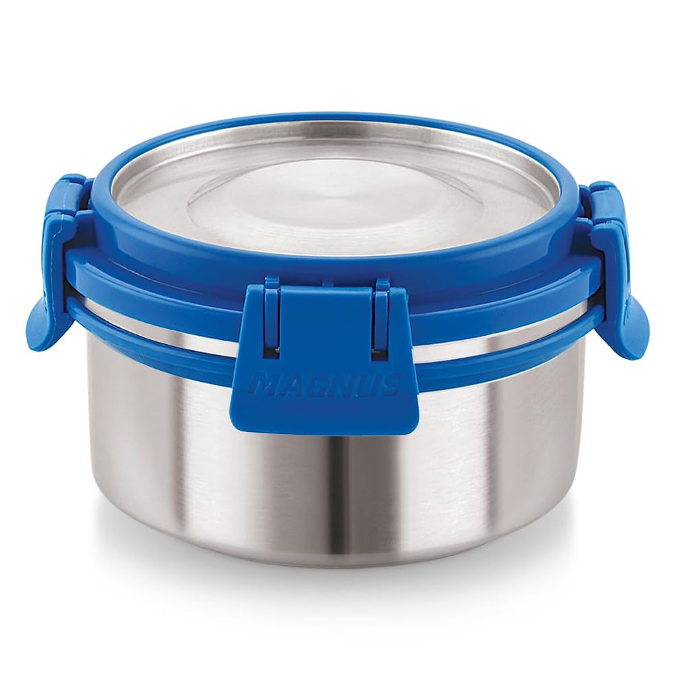 Magnus Stainless Steel Airtight Leakproof Storage Deluxe Container 300ML