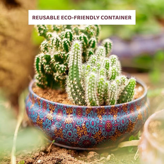 Thumbnail: Scented Jar Candles Printed Reusable Tin | Gift Combies