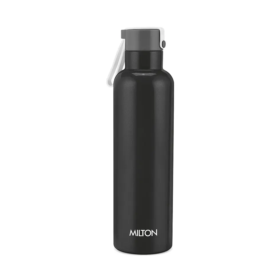Thumbnail: Milton Felice Thermosteel Bottle