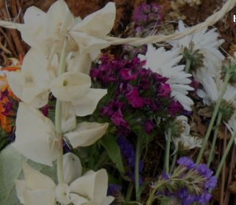 Burrow Press features 805 poet Haley Karin