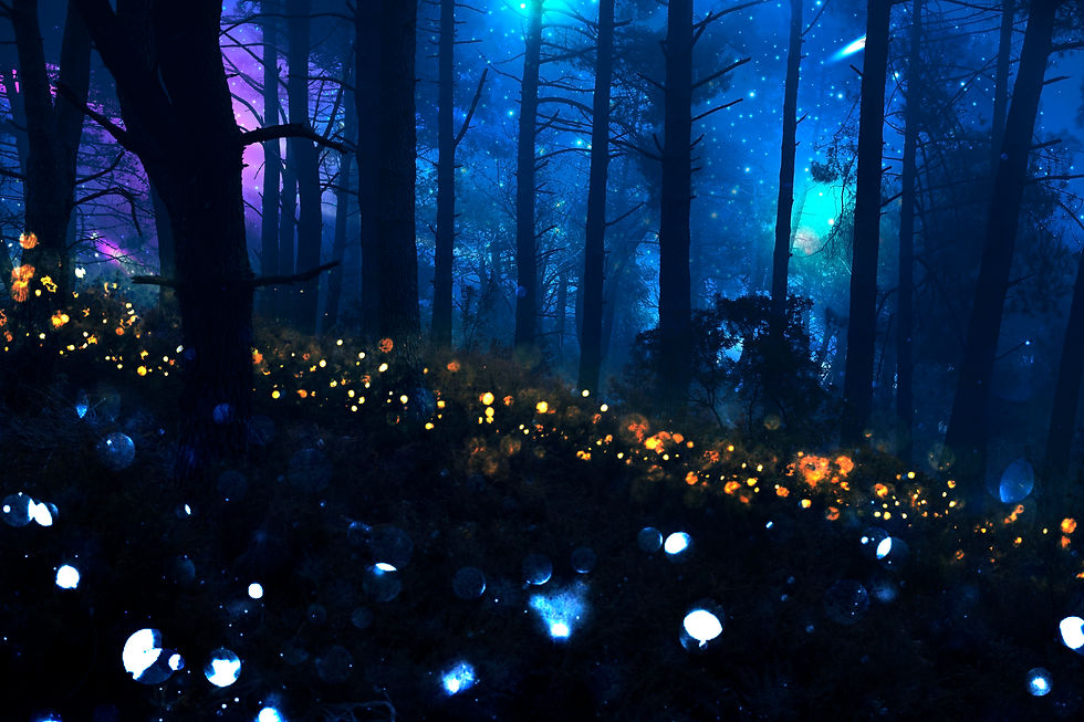 paisaje-nocturno-magico-luces-brillantes.jpg