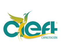 Capacitación | CIEFT