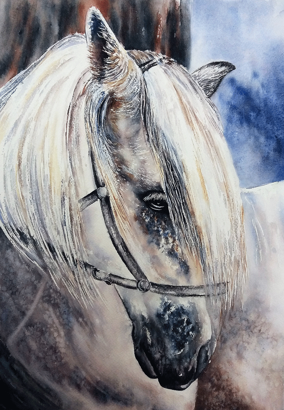 aquarelle6