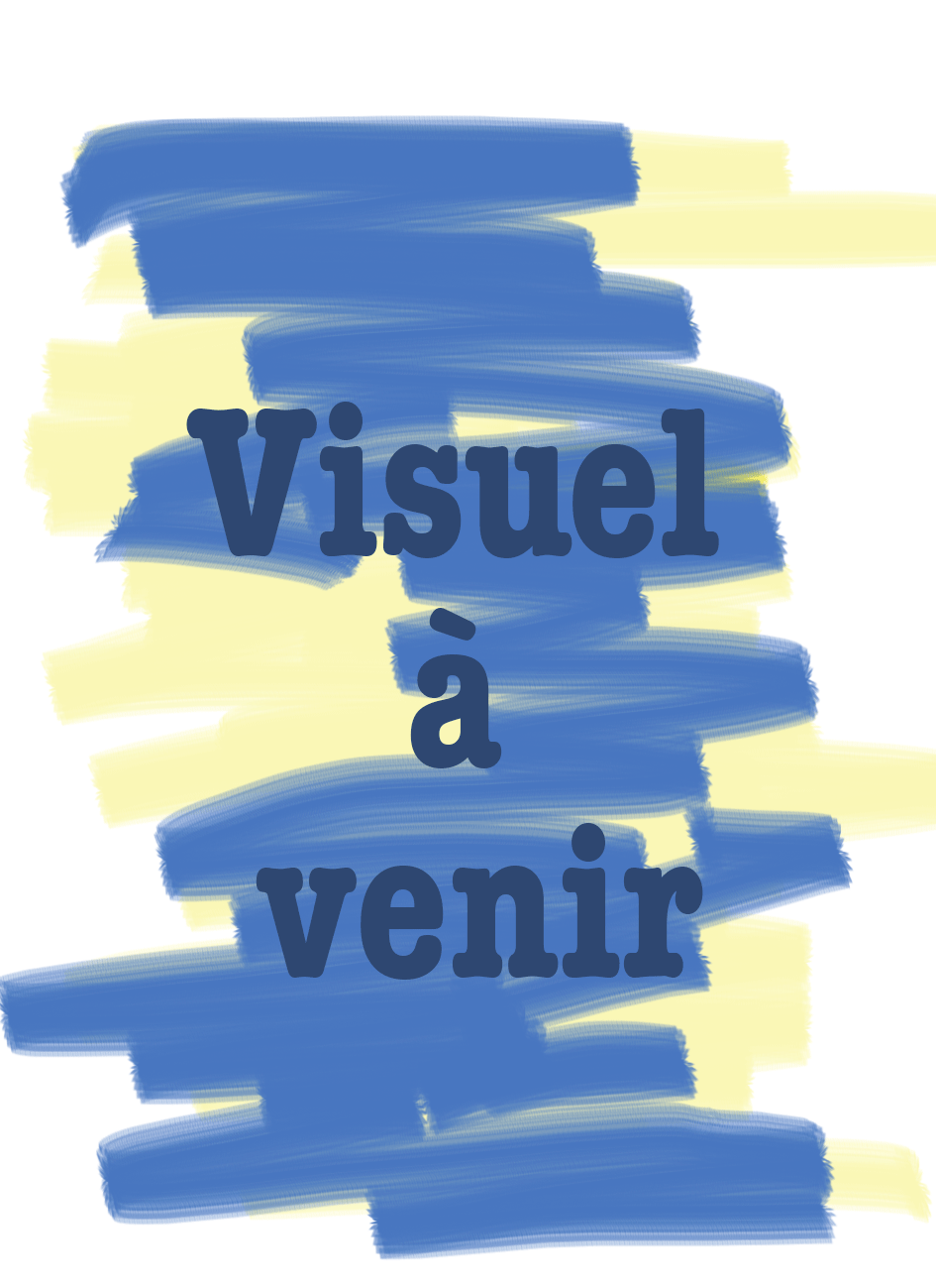 visuel-a-venir2.gif
