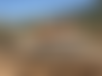 CAPTURAN EN AUSTRALIA A COCODRILO GIGANTE, MIDE CASI 5 METROS