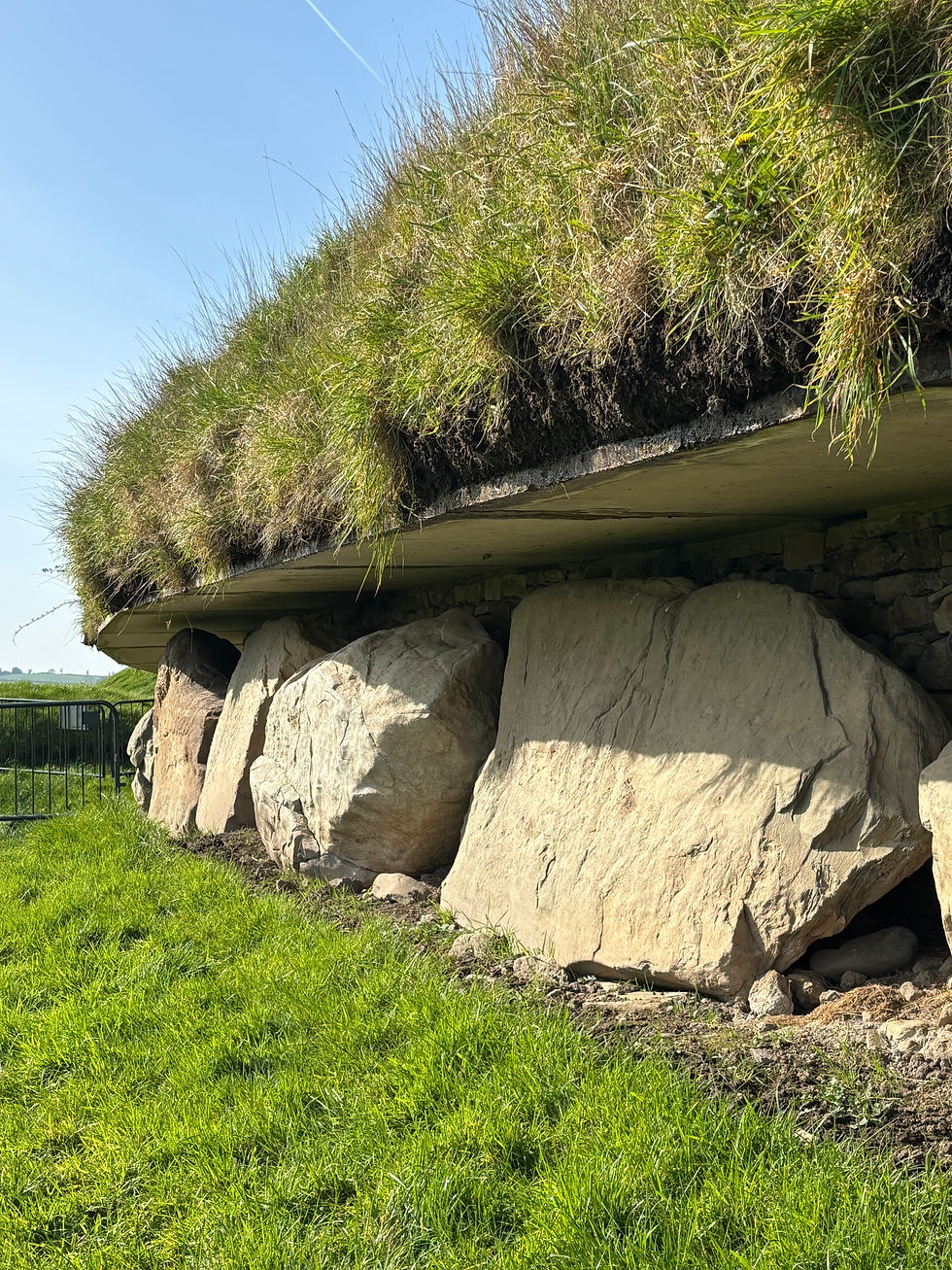 Thumbnail: Ireland Activation IX - The Andara of Ancient Earthkeeping