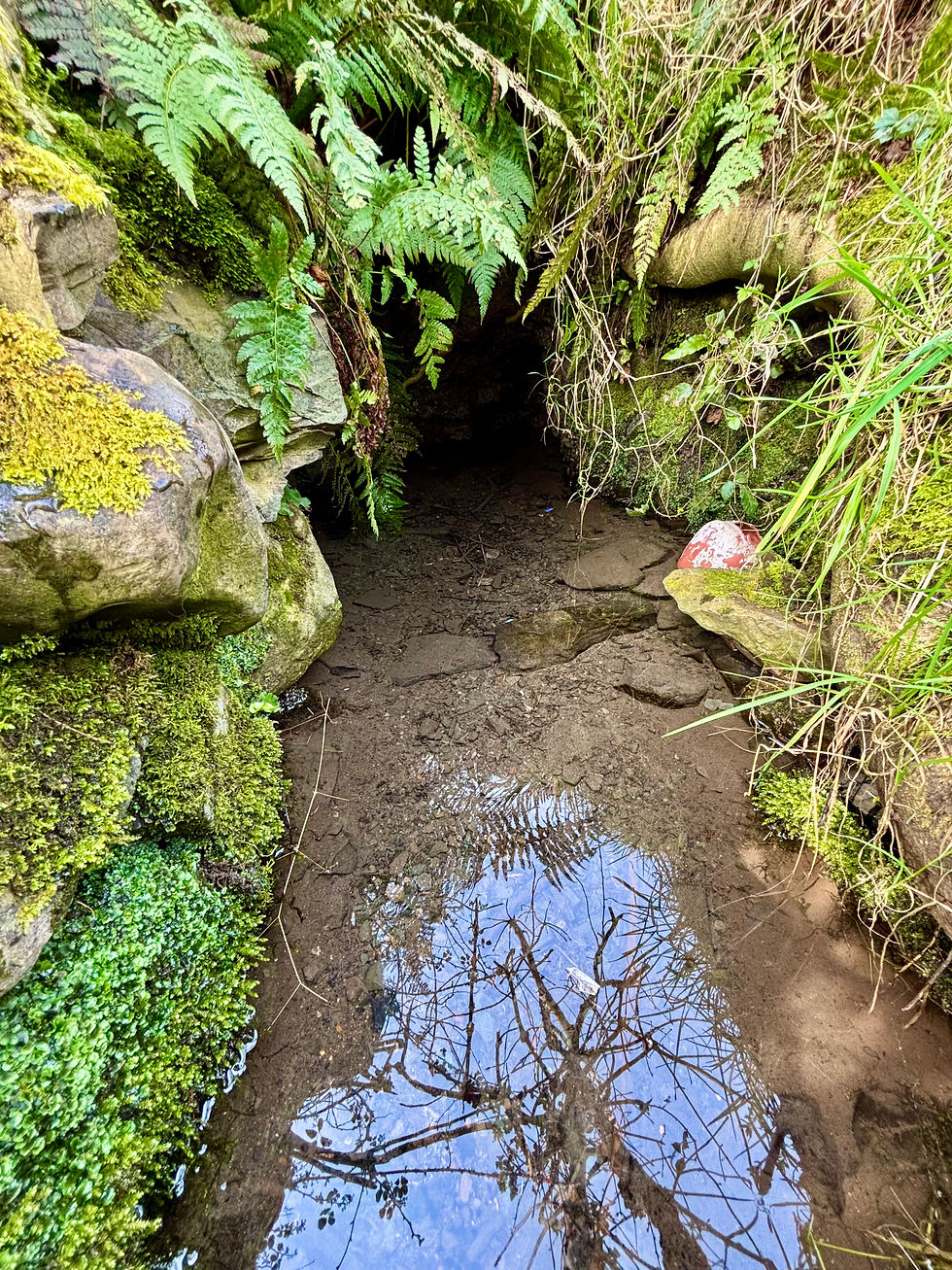 Thumbnail: Ireland Activation II - The Andara of Ancient Earthkeeping