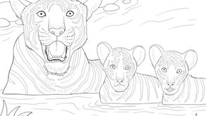Print Bengal Tiger Coloring Page.