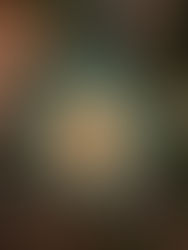 Tomillo - La Casa de Manolo Franco