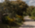 _MG_6771 copy.jpg