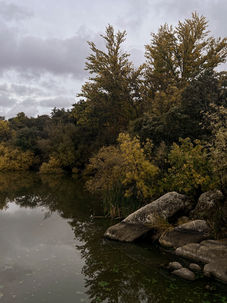 Otoño en Valdemorillo - Embalse de Valmayor