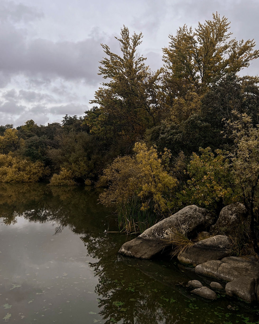 Otoño en Valdemorillo - Embalse de Valmayor