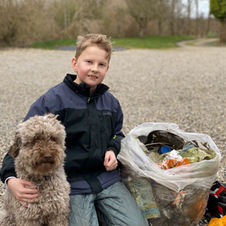 Lagotto romagnolo truffle dog collects garbage in the city.