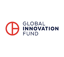 GLOBAL INNOVATION  FUND