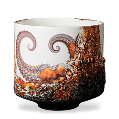 Curious Entanglement Vessel I