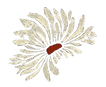 off white daisy