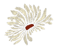 off white daisy