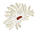 off white daisy