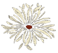 off white daisy