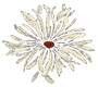 off white daisy