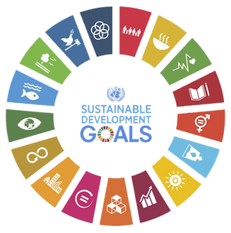 Sustainable Development Goal