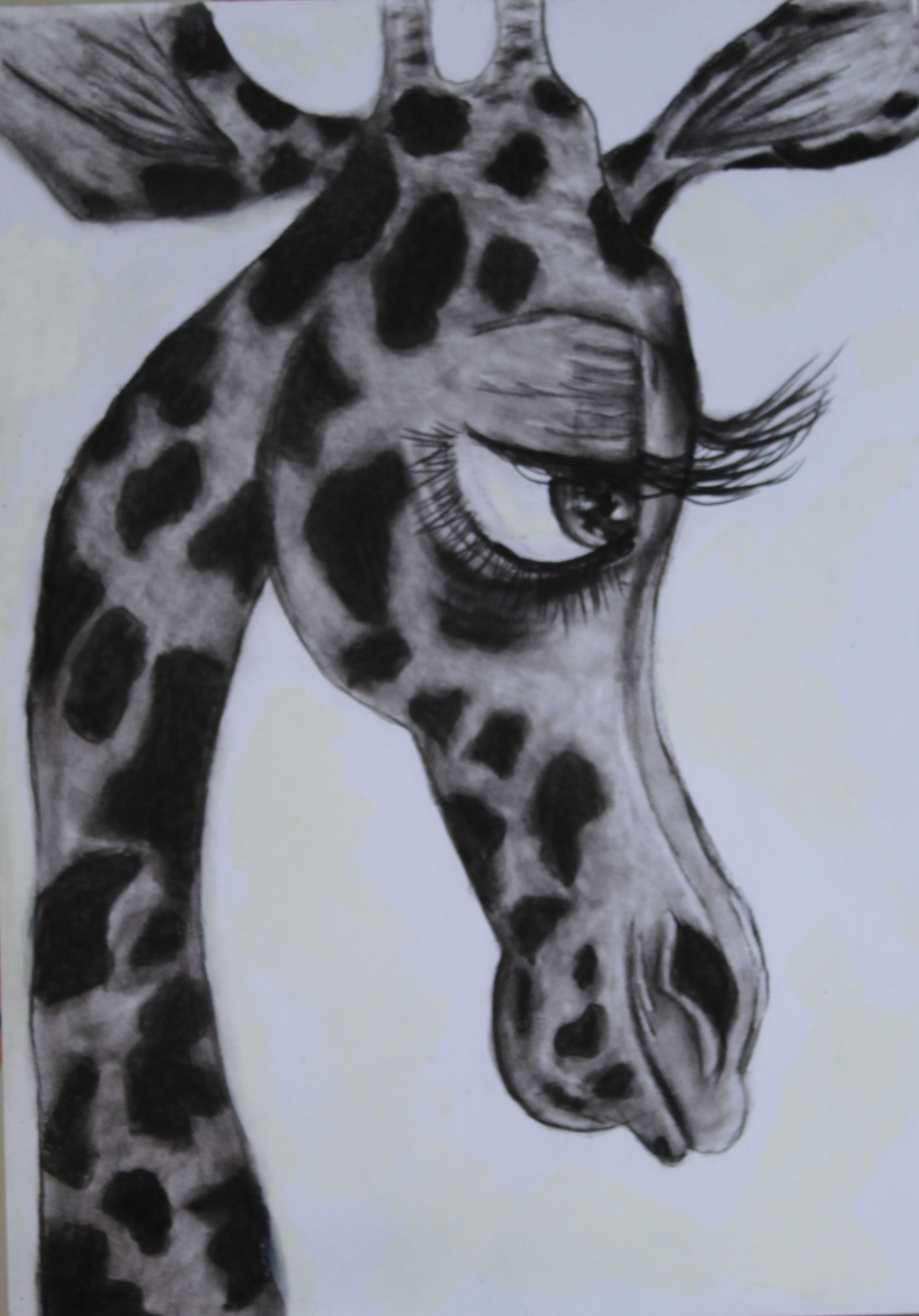 AK1607 A Giraffe's Daydream | Charcoal Drawing