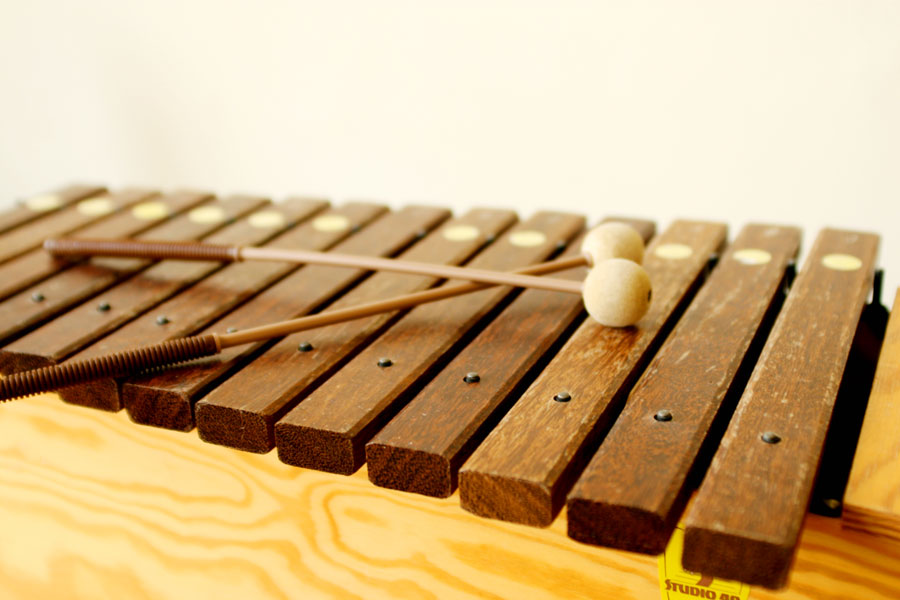 transcription
