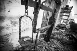 Sipe Nobel Comeana-20