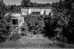 Sipe Nobel Comeana-65