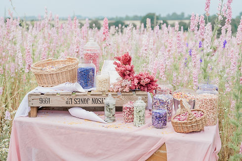 Confetti Fields (40 of 123).jpg