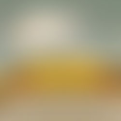 The front of an American school bus with a blue sky and a few clouds