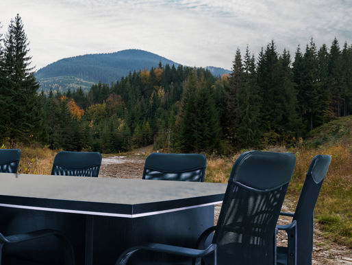 Boardroom table in the woods