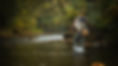 Man fly fishing while walking through river