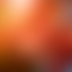 Closeup on red orange leaves