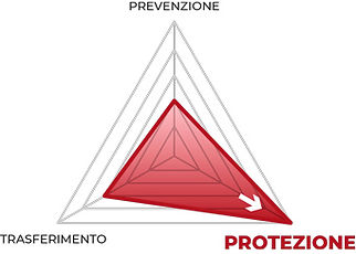 Politica del Rischio: Protezione