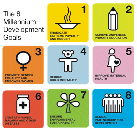 The United Nations Millennium Development Goals: Successes and Failures from 2000 until Today