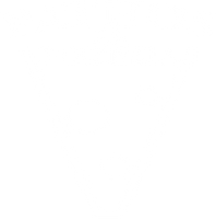 logo bianco.png