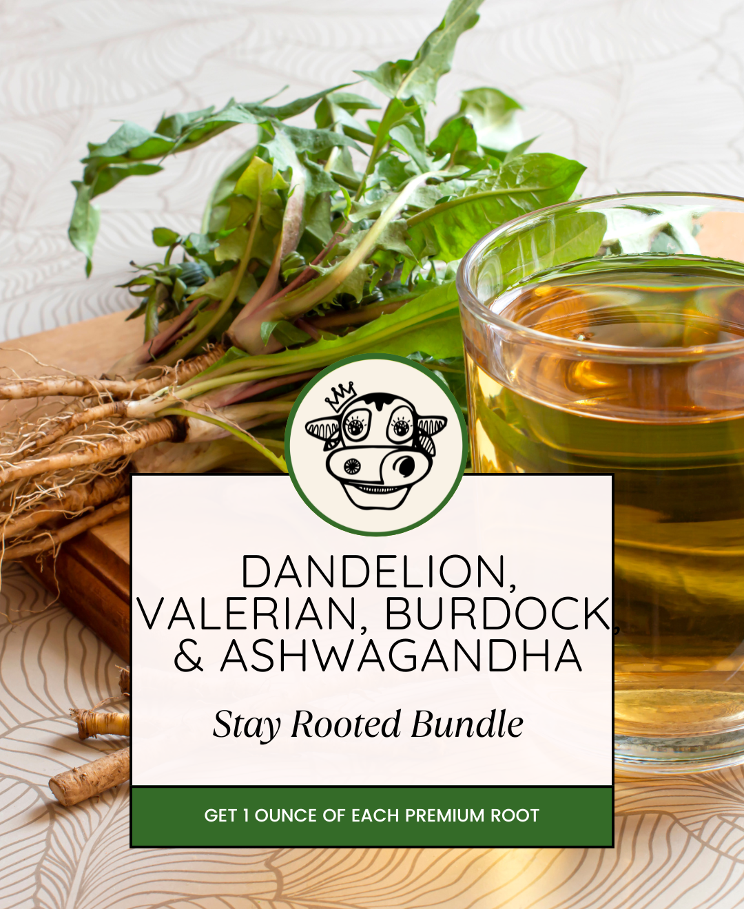 STAY ROOTED WELLNESS BUNDLE