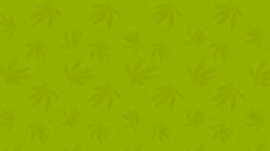 FARMER-CEE-TEXTURE-MARIHUANA-LEAF-GREEN.