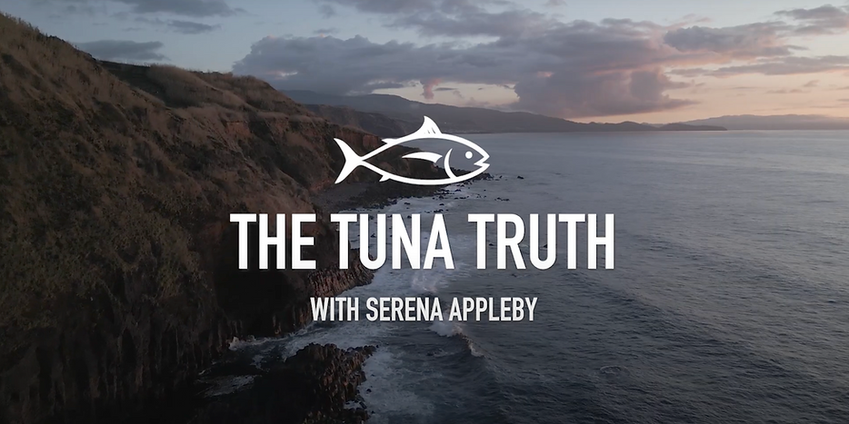 Screenshot 2025-06-09 at 14.31.11.png