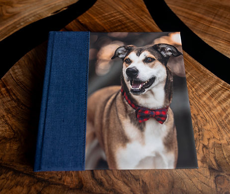 Dog photo album, dog photographer
